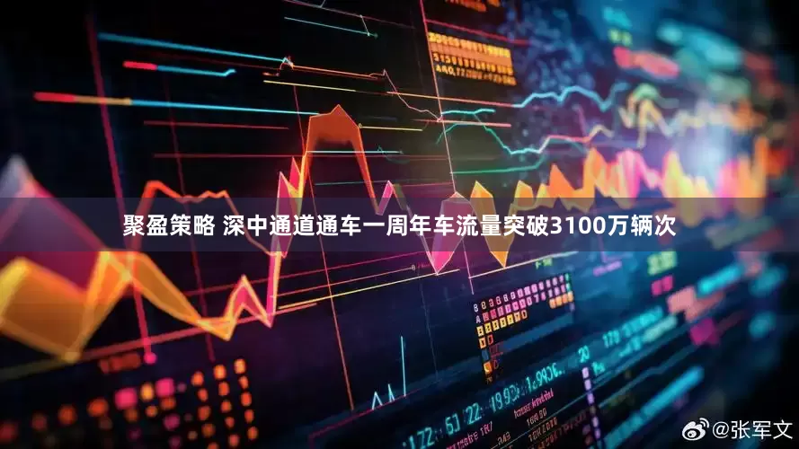 聚盈策略 深中通道通车一周年车流量突破3100万辆次