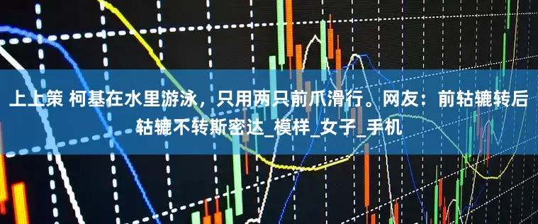 上上策 柯基在水里游泳，只用两只前爪滑行。网友：前轱辘转后轱辘不转斯密达_模样_女子_手机