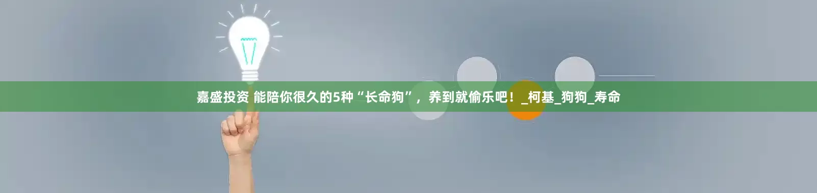 嘉盛投资 能陪你很久的5种“长命狗”,养到就偷乐吧!_柯基_狗狗_寿命