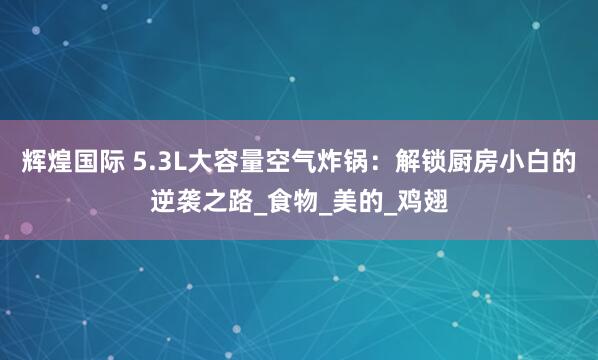 辉煌国际 5.3L大容量空气炸锅：解锁厨房小白的逆袭之路_食物_美的_鸡翅