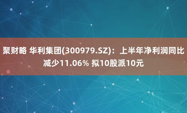 聚财略 华利集团(300979.SZ)：上半年净利润同比减少11.06% 拟10股派10元
