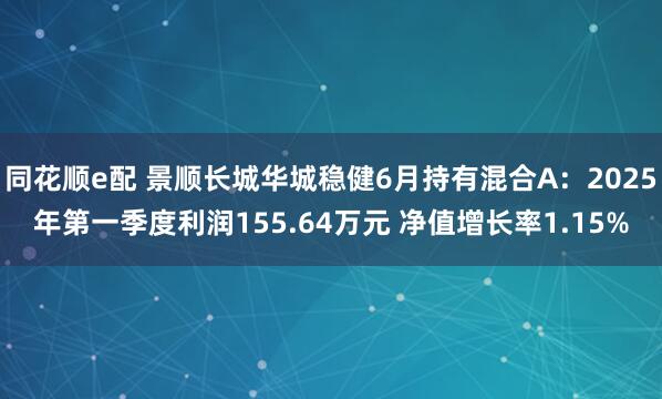 同花顺e配 景顺长城华城稳健6月持有混合A：2025年第一季度利润155.64万元 净值增长率1.15%