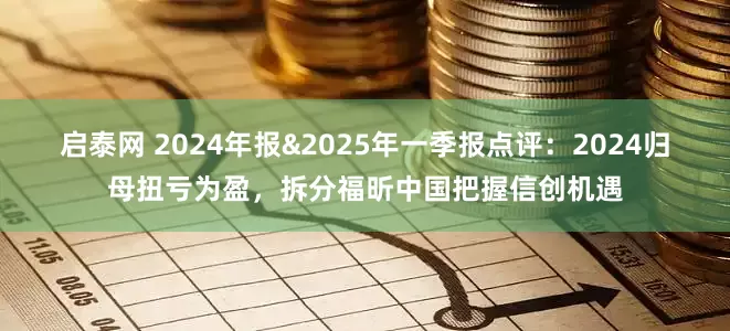 启泰网 2024年报&2025年一季报点评：2024归母扭亏为盈，拆分福昕中国把握信创机遇